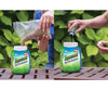 Aquagrazz a 248 LEU