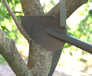 Starlyf Root Digger a 79,99€