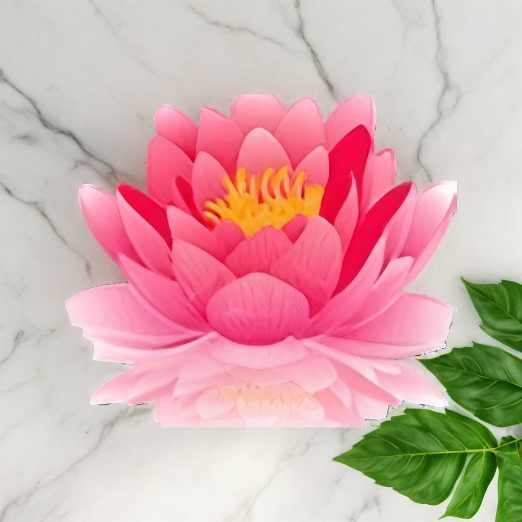 Uromexil Forte (female urination) LP