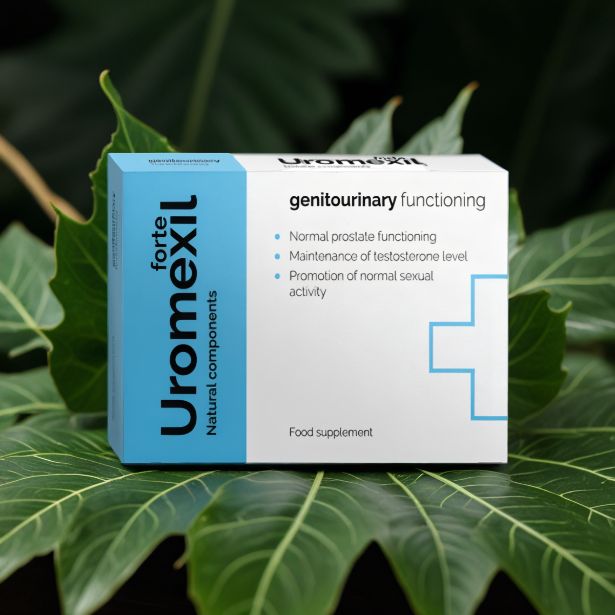 Uromexil Forte female urination